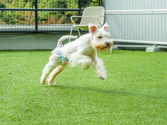 Фото Kinosato Yamanoyu