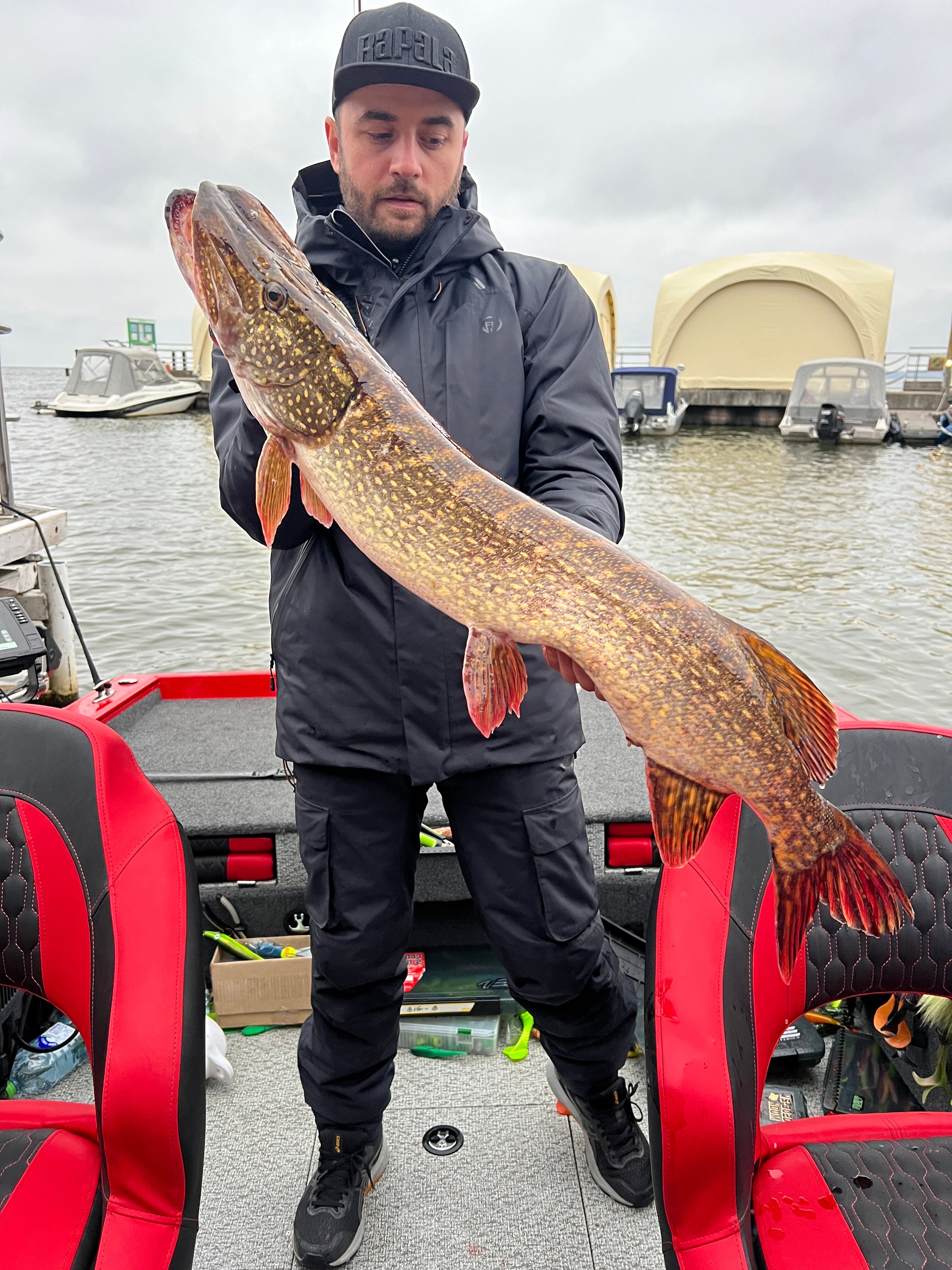 Фото Изумрудное