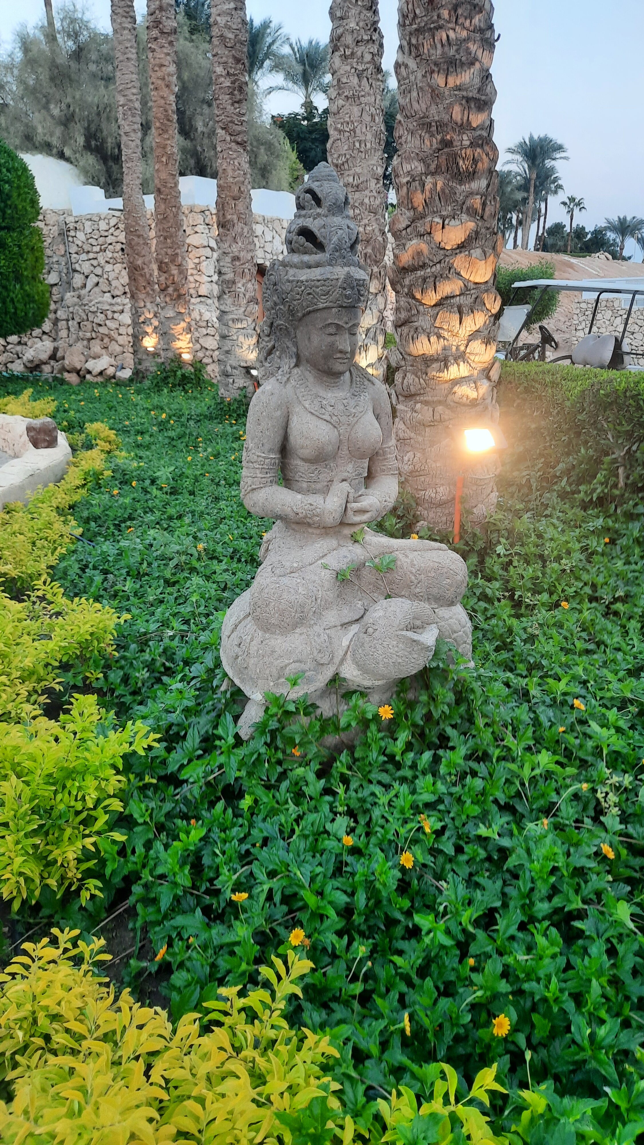 Фото Domina Coral Bay Oasis