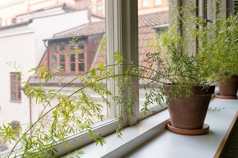 Фото 117522177693