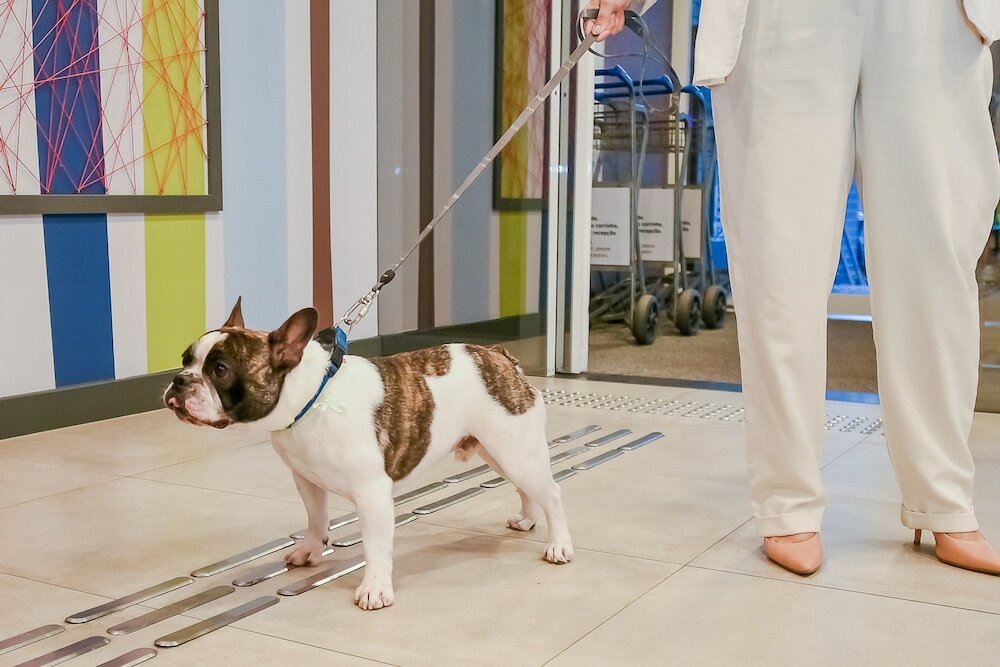 Фото Ibis budget Santos Gonzaga