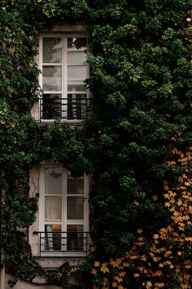 Фото Pavillon de La Reine