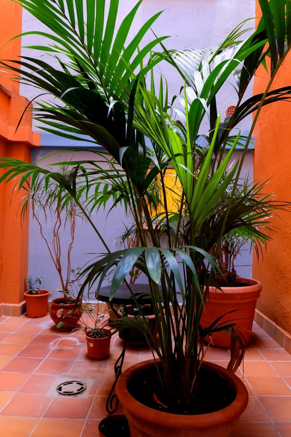 Фото Hotel Carmen