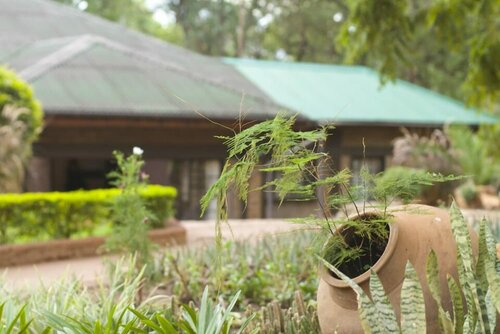 Гостиница Woodlands Lilongwe в Лилонгве