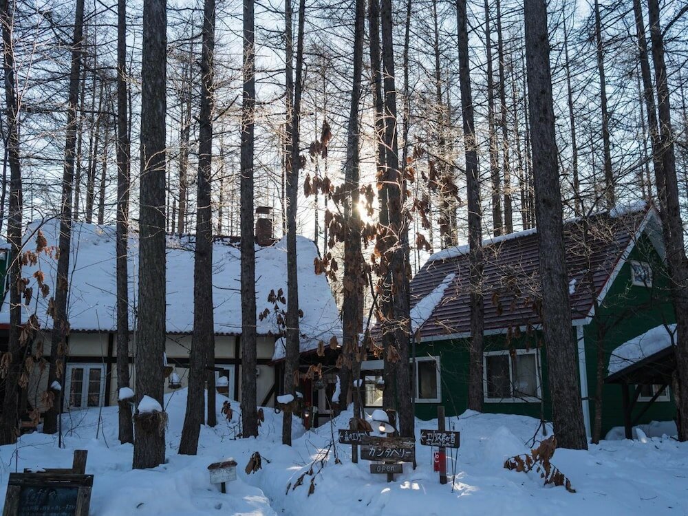 Фото The squirrel's guesthouse Canterbury