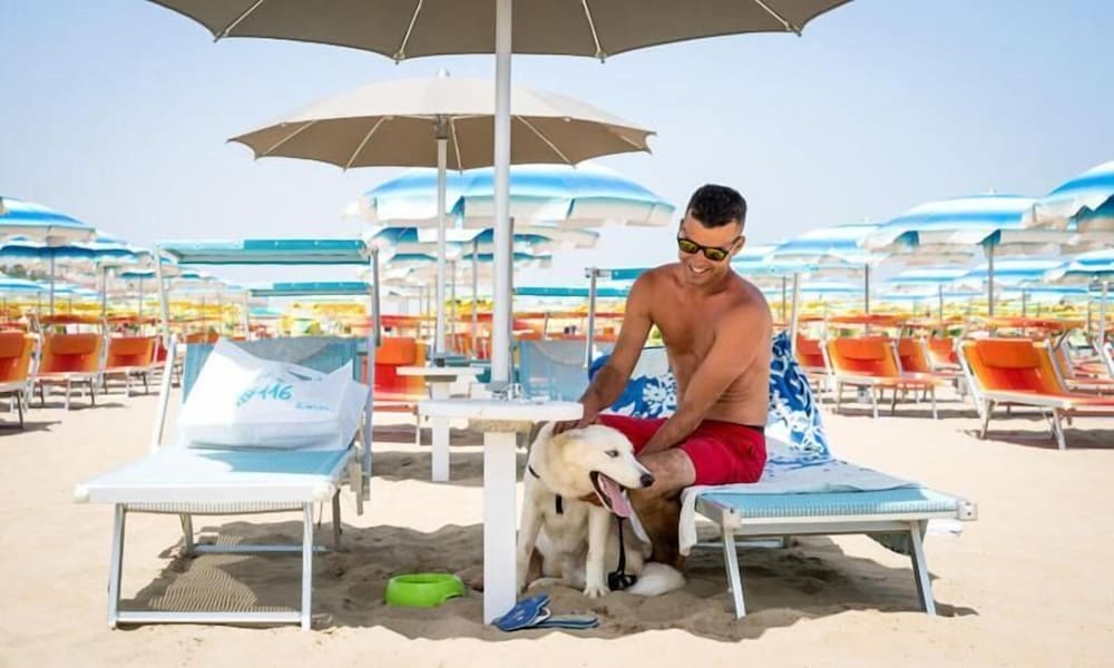 Фото Hotel Sanremo Rimini