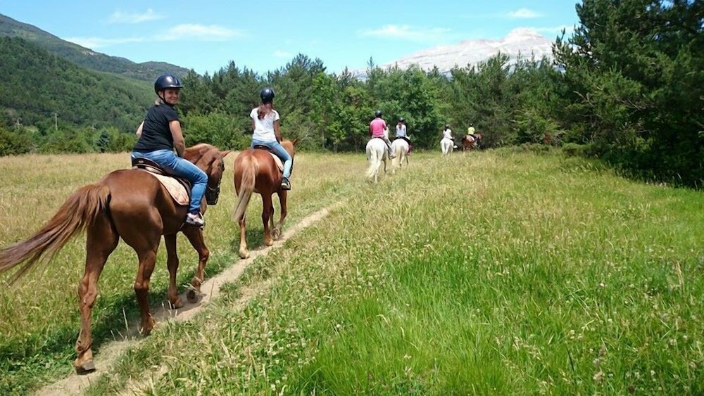 Фото Hotel El Acebo