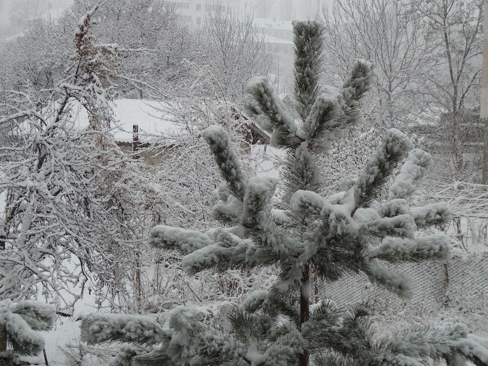 Фото Weekend Boutique Hotel