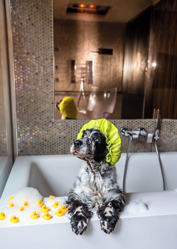 Фото Milan Suite Hotel