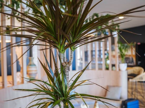 Фото Ibis Budget Rouen Centre Rive Gauche