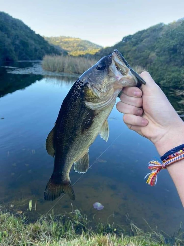 Фото Thunzi Bush Lodge