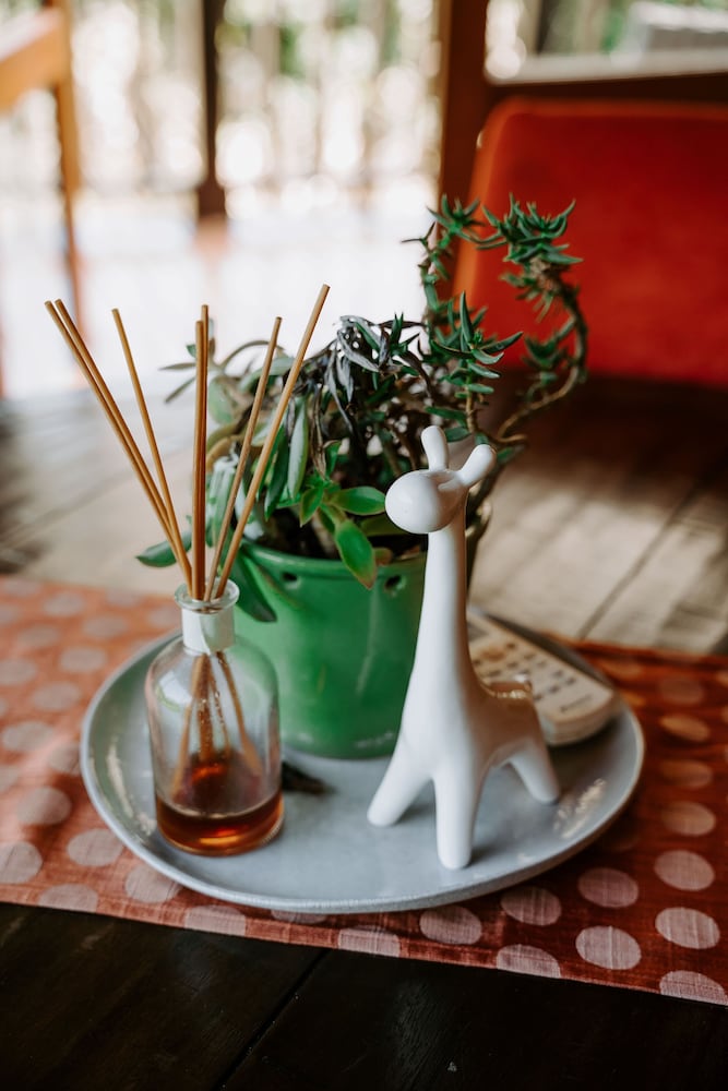 Фото Thunzi Bush Lodge