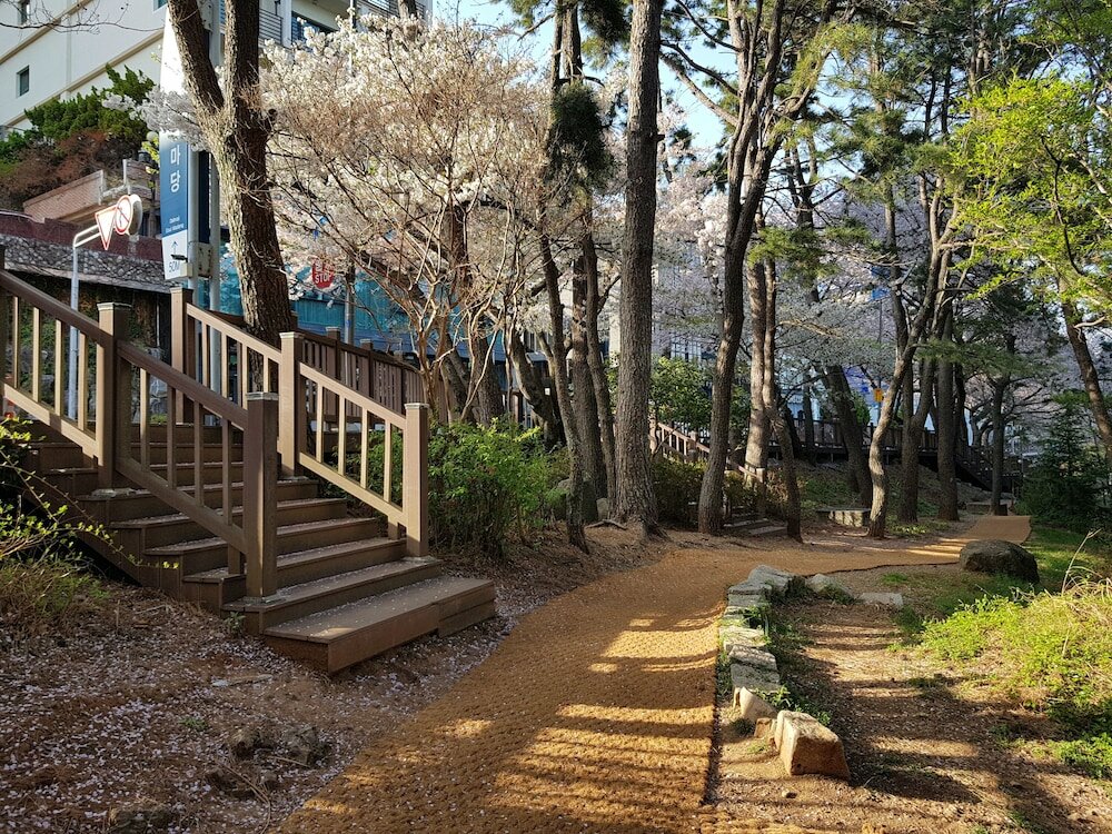 Фото Suntree Hotel