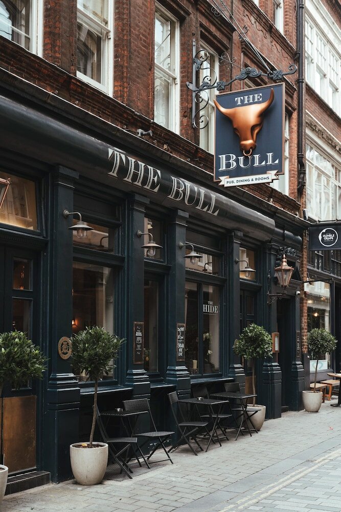 Фото The Bull and The Hide