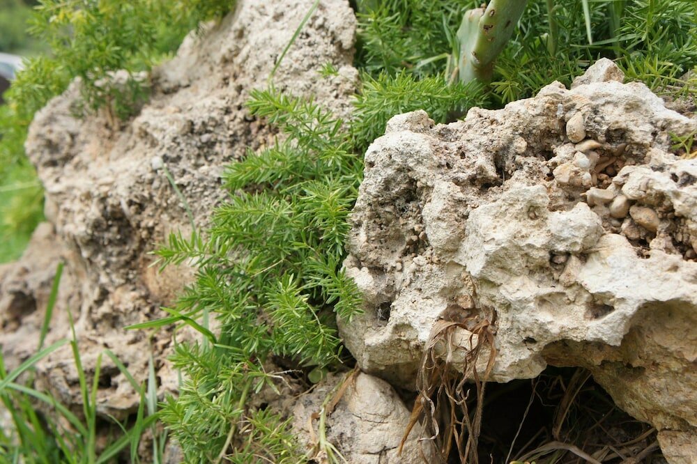 Фото Hotel Kalithea