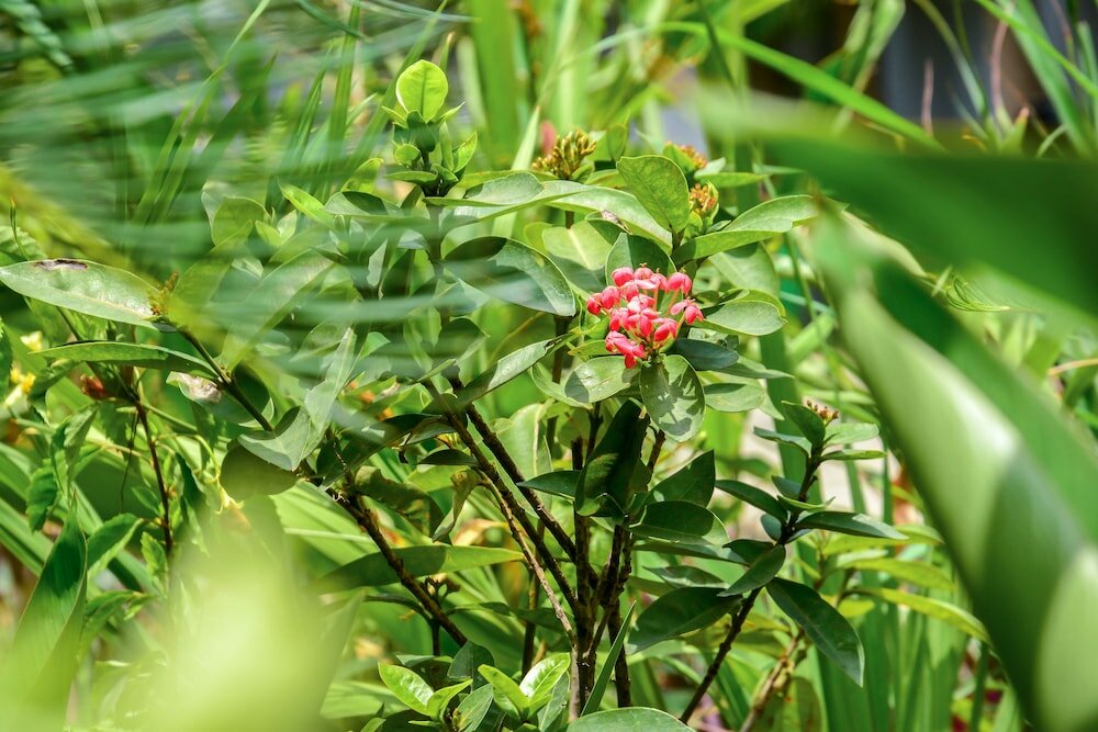 Фото The Nordic Villa