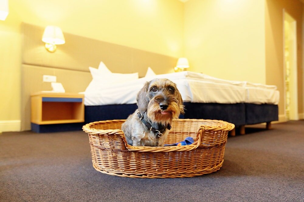 Фото Inselhotel Potsdam-Hermannswerder