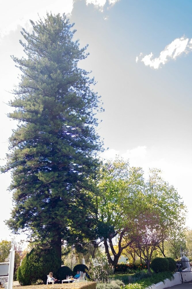 Фото Adley House Guesthouse