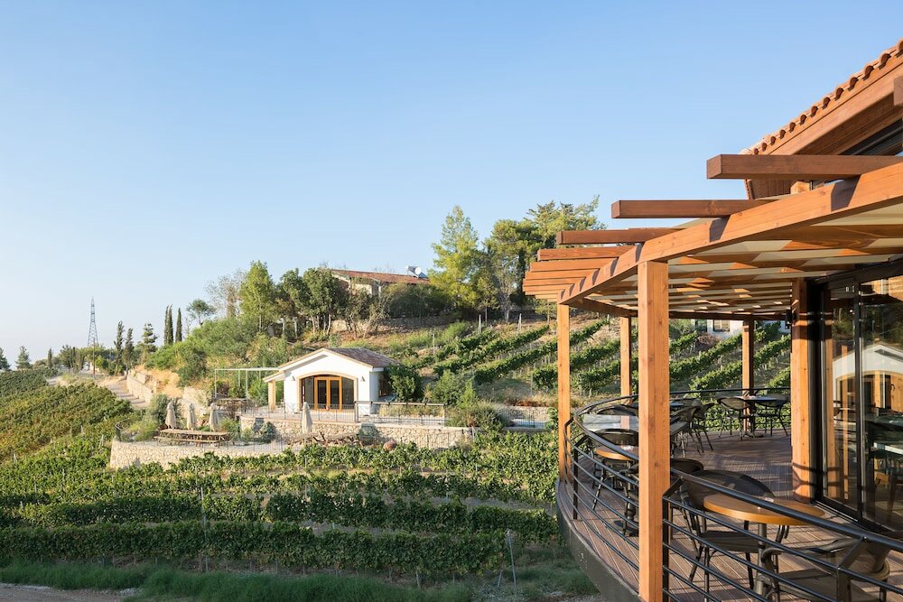 Фото Gillham Vineyard Hotel - Adults Only