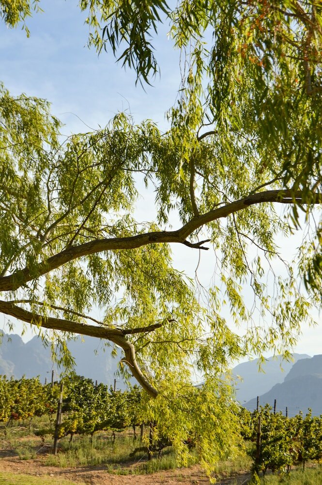 Фото Maison Montagne