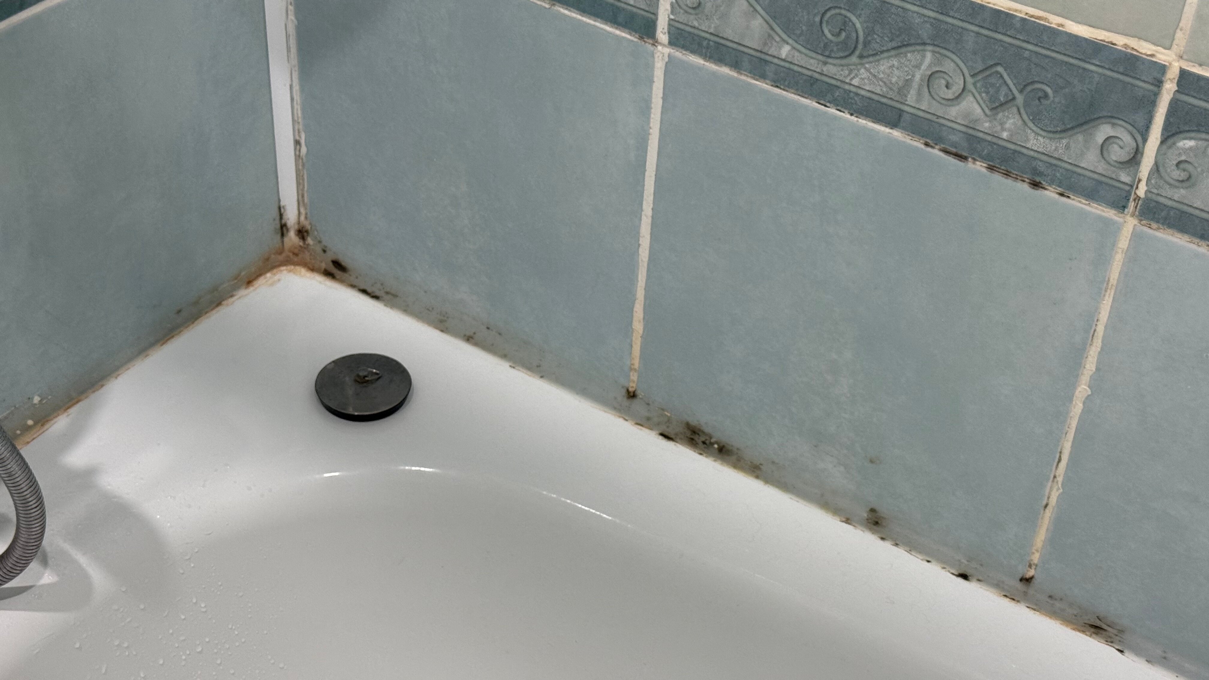 Фото Аррива