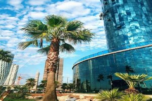Гостиница Metro Sky Tower Batumi