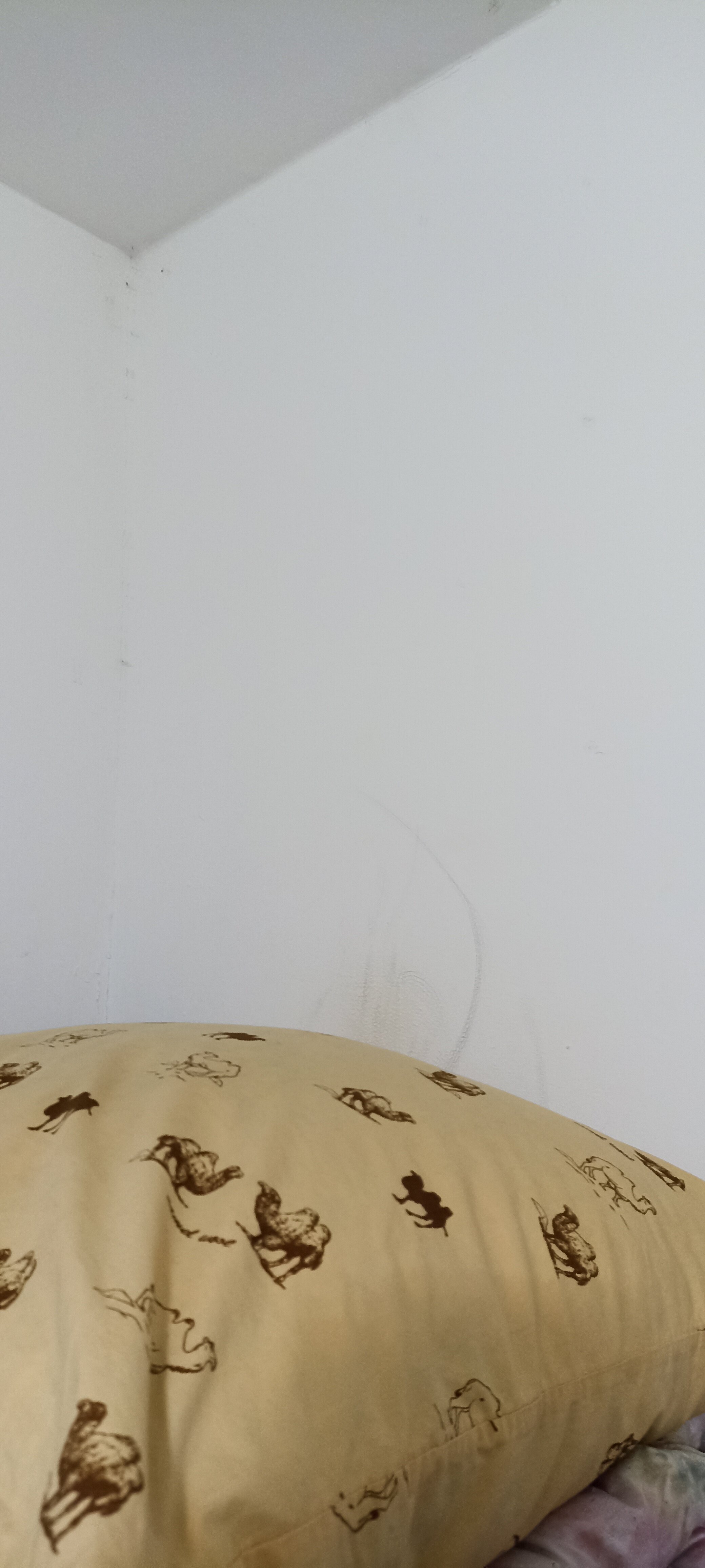 Фото Юпитер