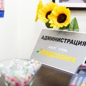 Фото Подсолнух