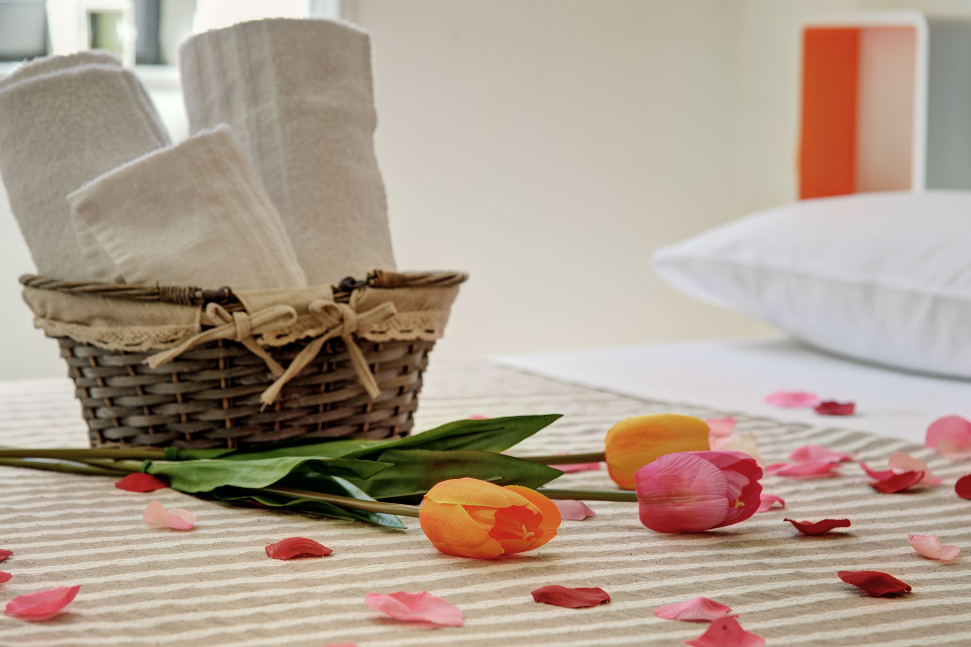 Фото AD Hoc Guest House