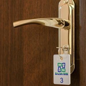 Фото Базилик