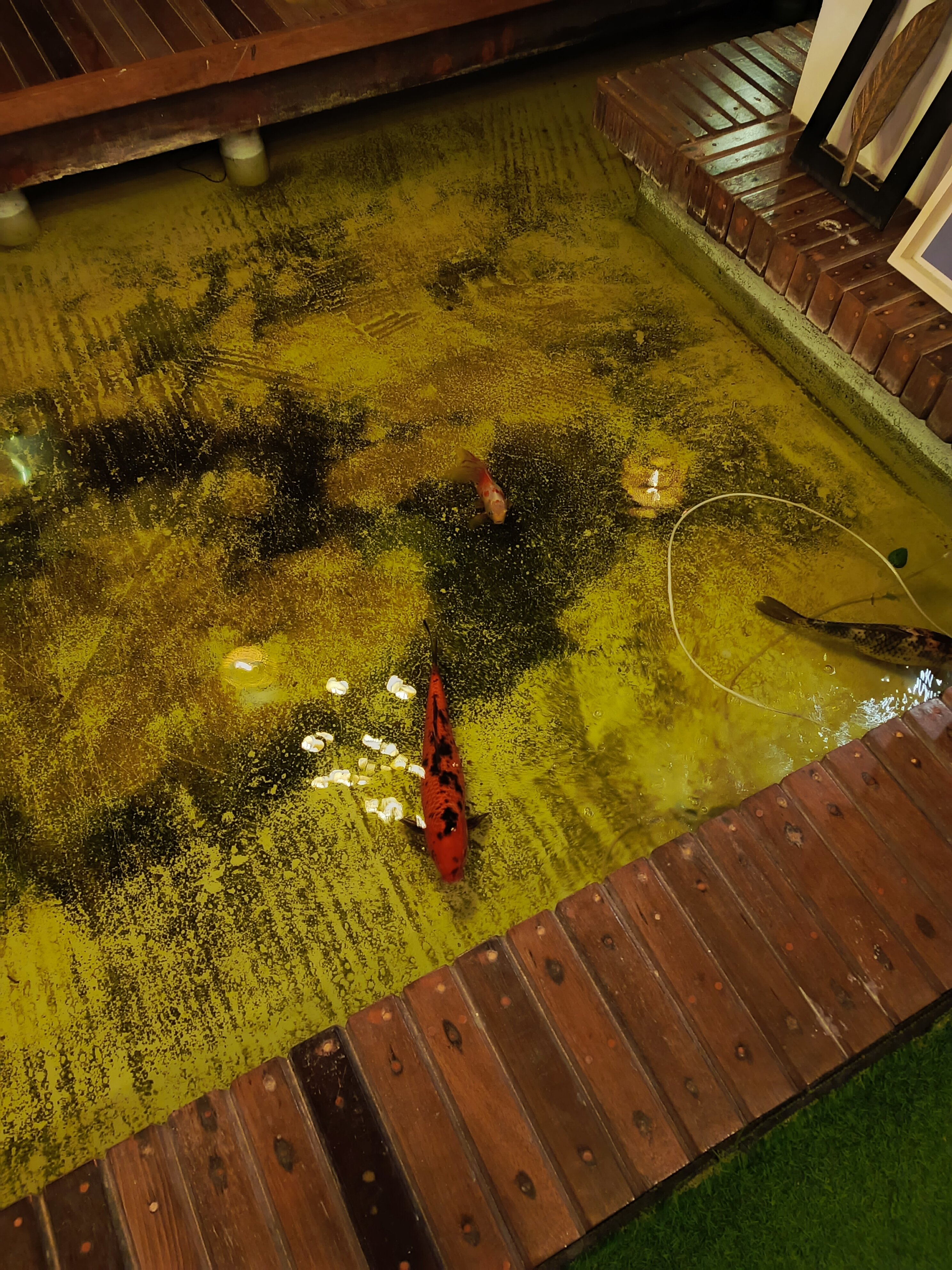 Фото Crystal Sands