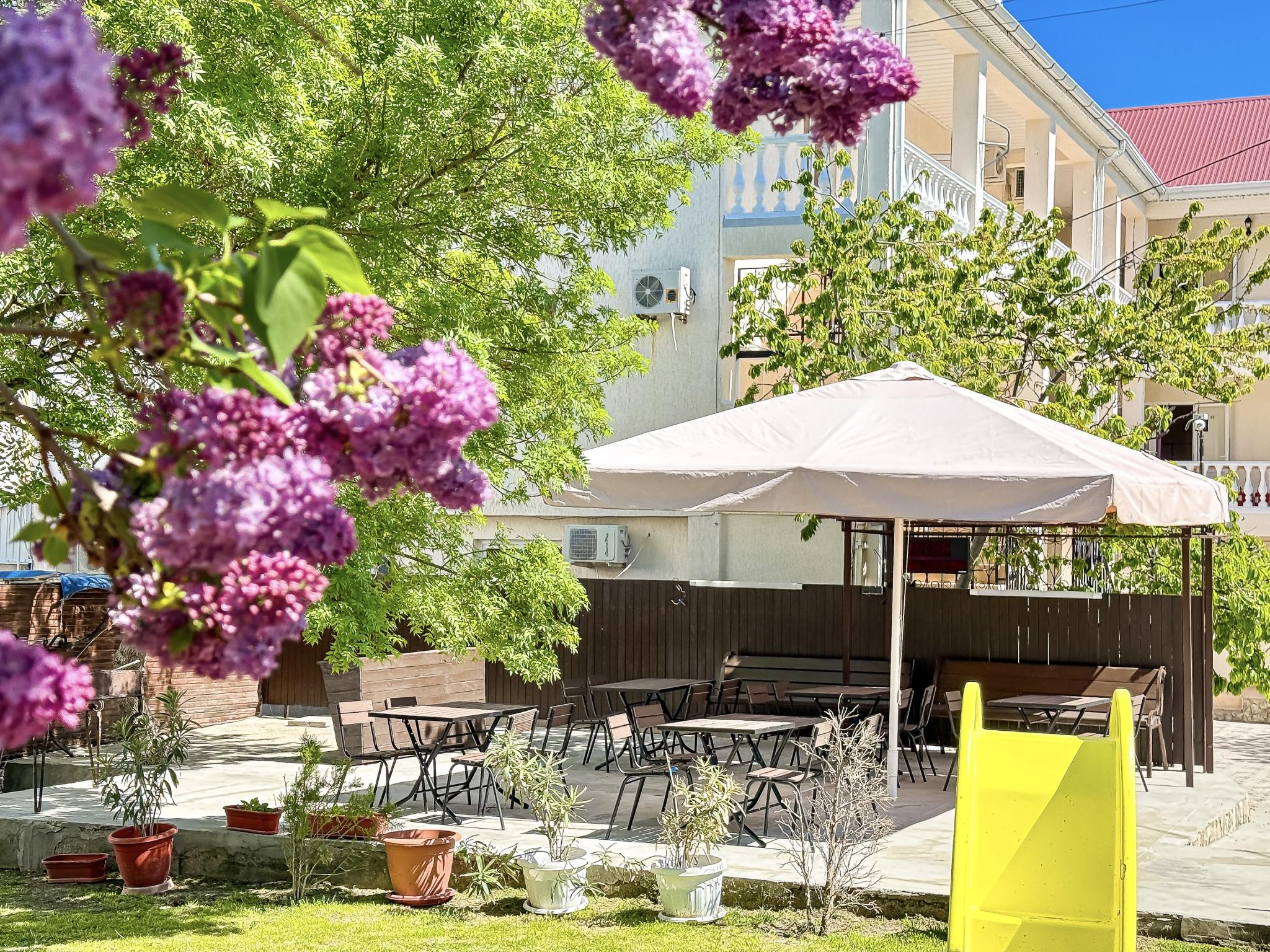 Фото Дружба