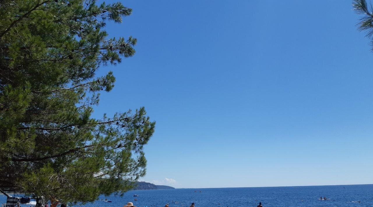 Фото Mandarin Hotel