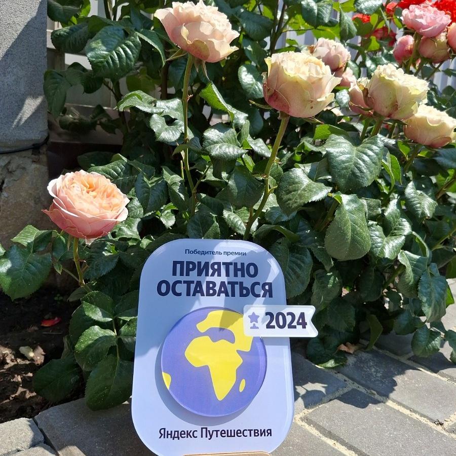 Фото Бумеранг