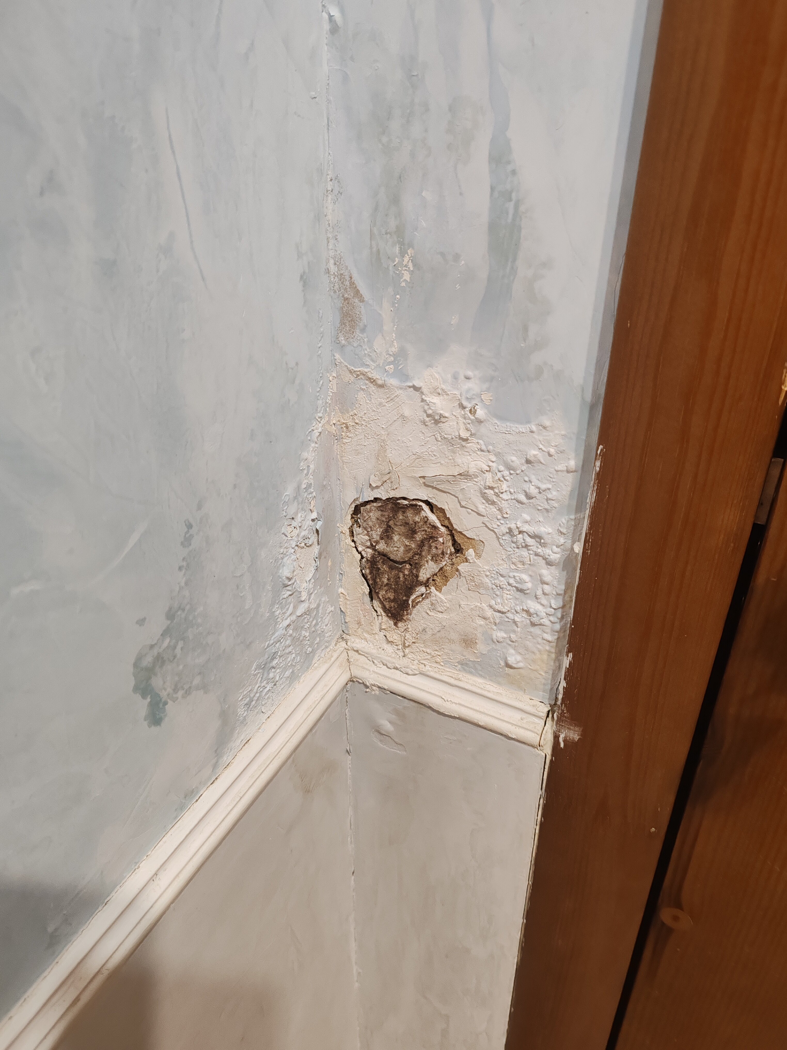 Фото Даниловская