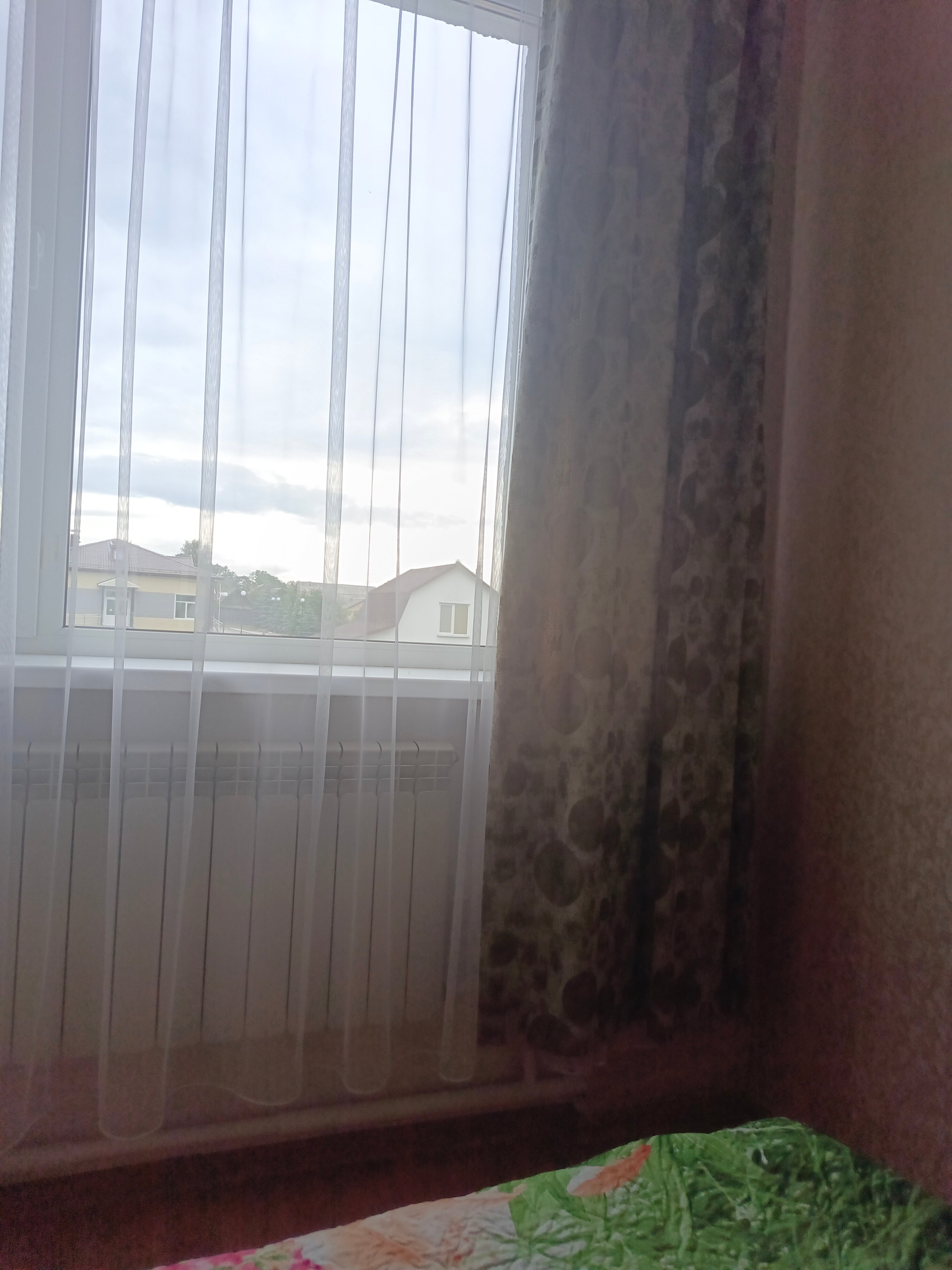 Фото Суражичи