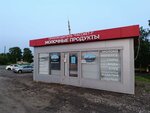 Молочные продукты (Ryazan Region, Shatskiy rayon, Yambirnskoye selskoye poseleniye, selo Yambirno, M-5 Ural, 384-y kilometr), grocery