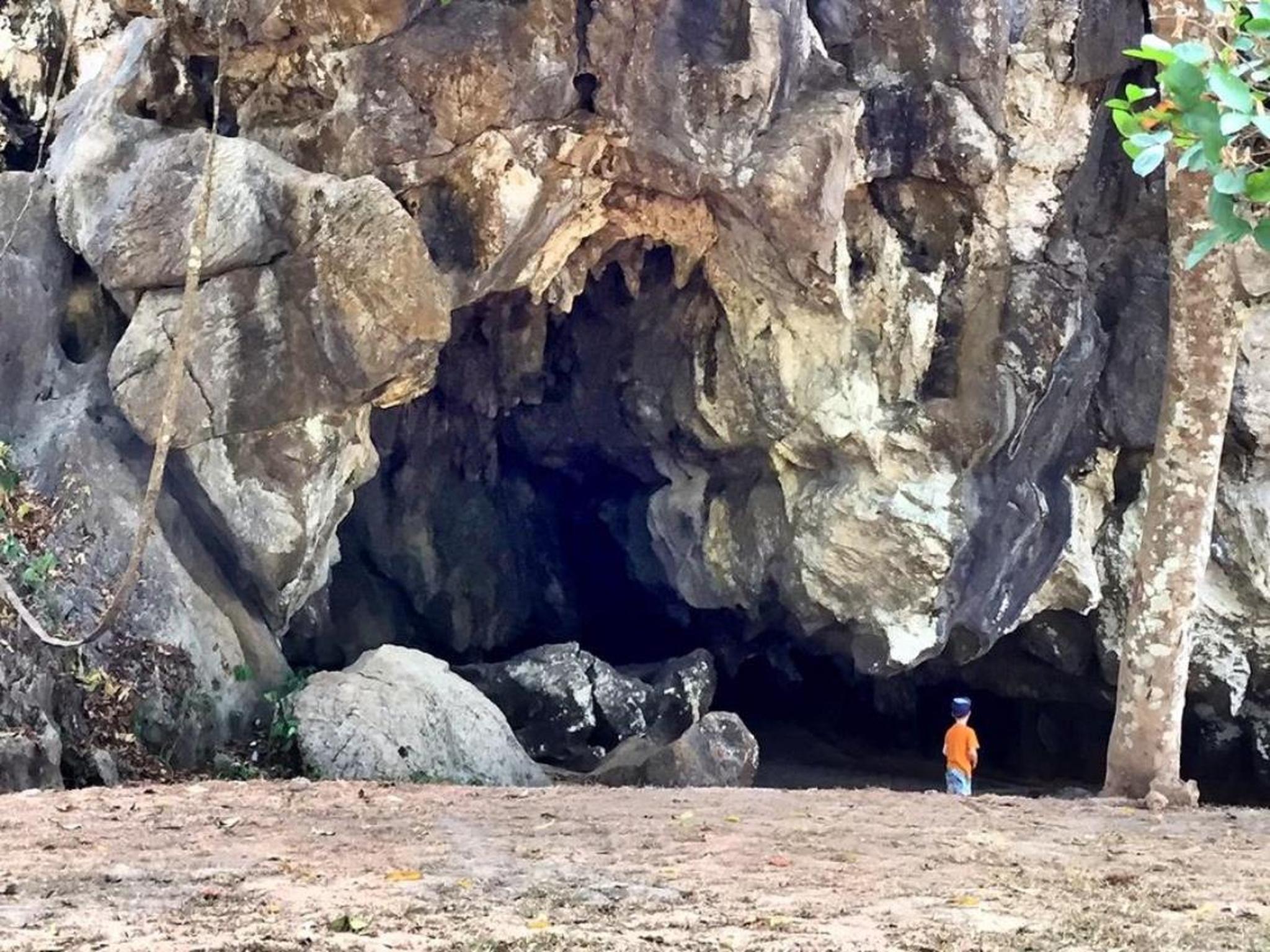 Фото V Valley Resort