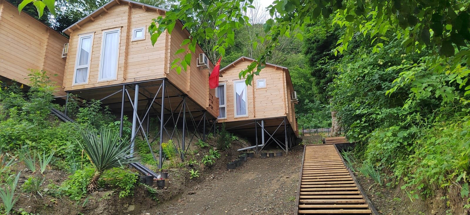 Фото Лесные домики