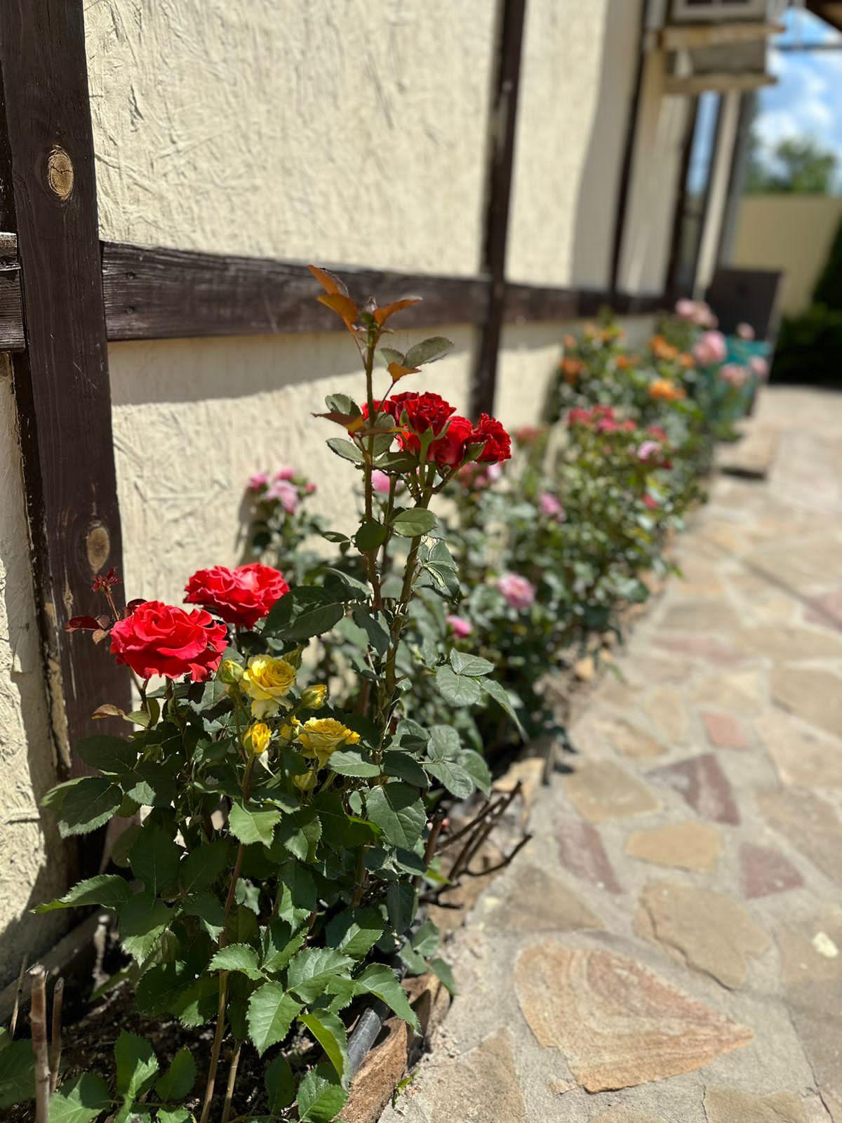 Фото Семейный