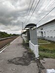 Назаровка (Ryazan Region, Chuchkovskiy rayon, Zavidovskoye selskoye poseleniye, selo Nazarovka) ، محطة سكة حديدية