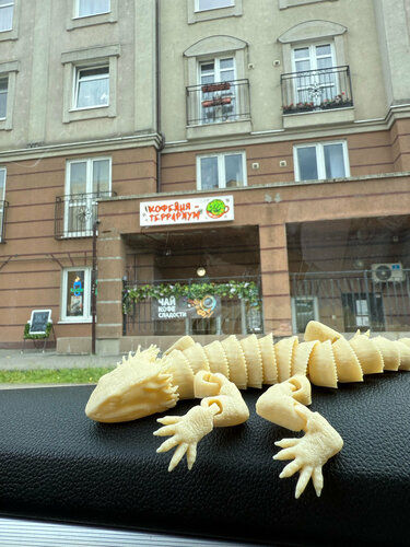 مقهى Кофейня-террариум ، ، صورة