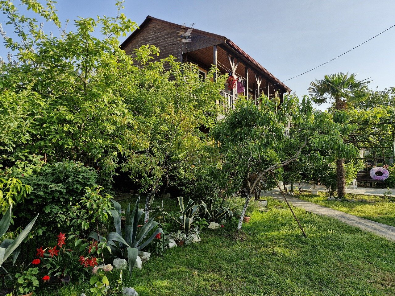 Фото Новая Гагра