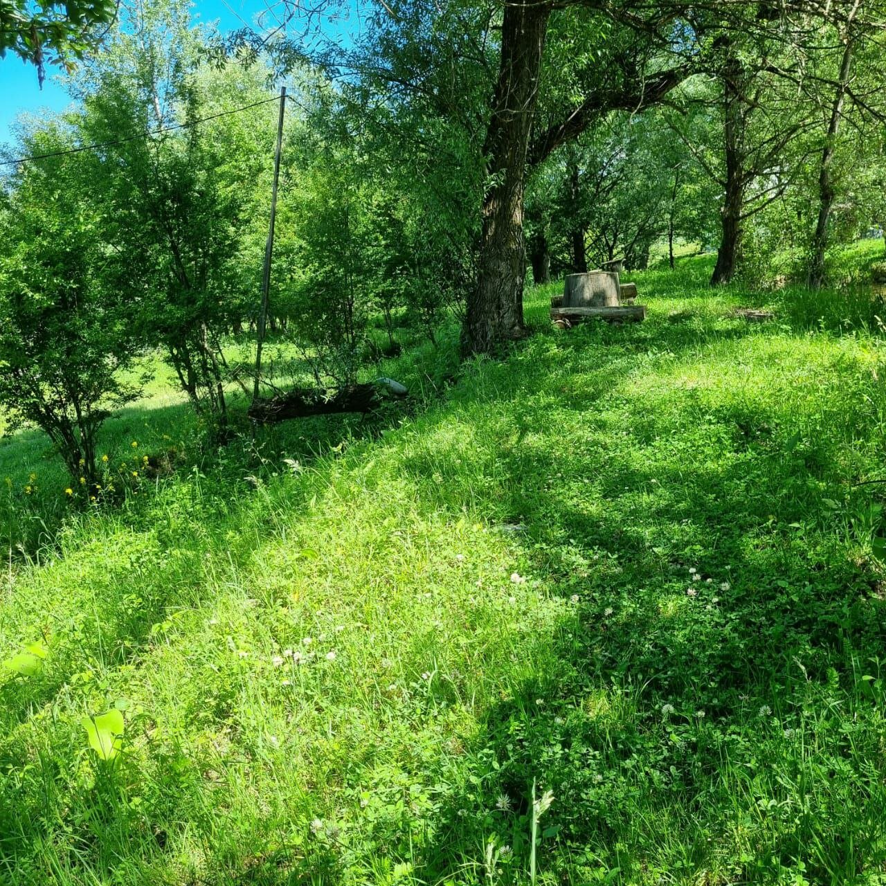 Фото Большая Лаба