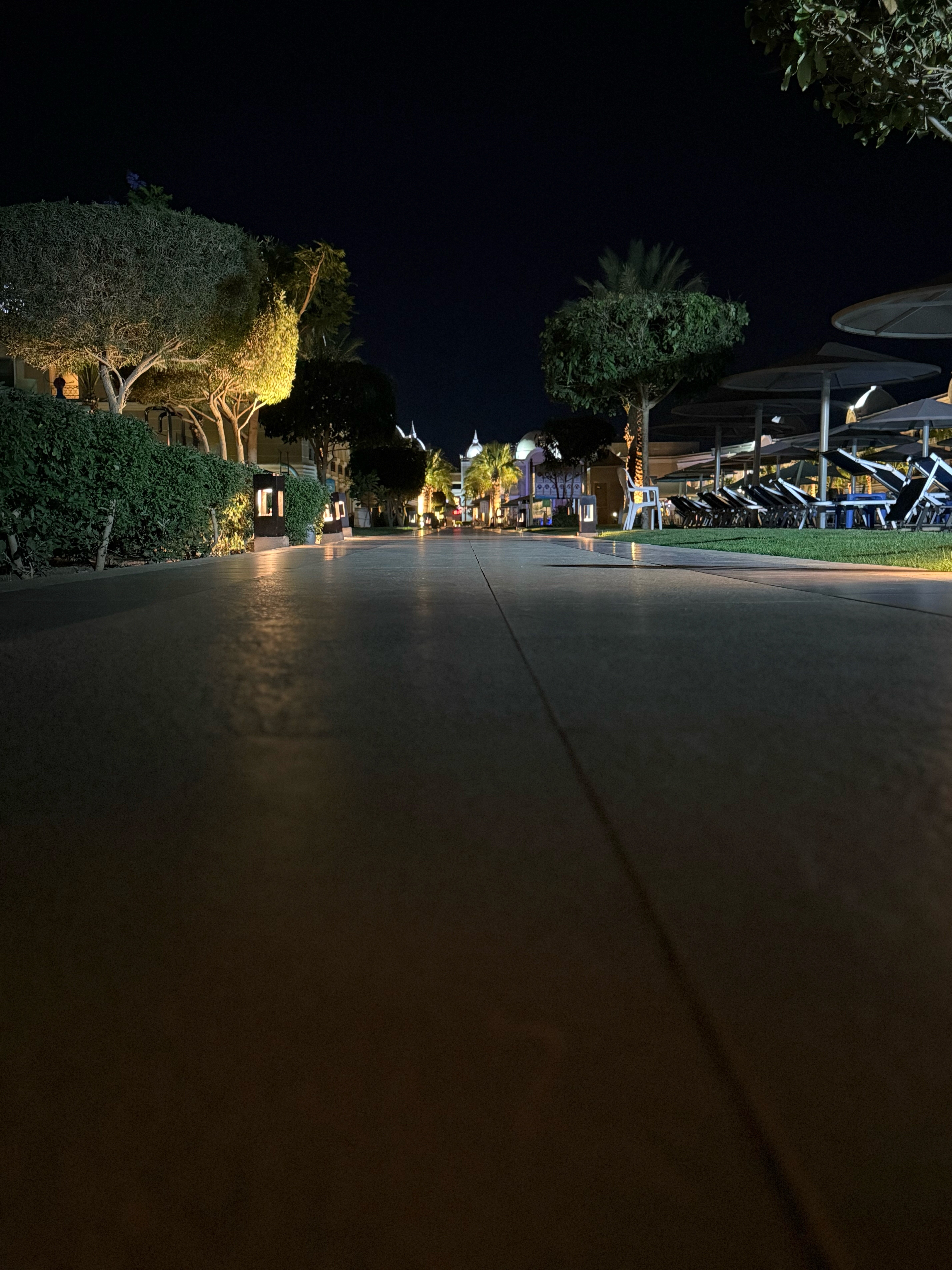 Фото Titanic Royal