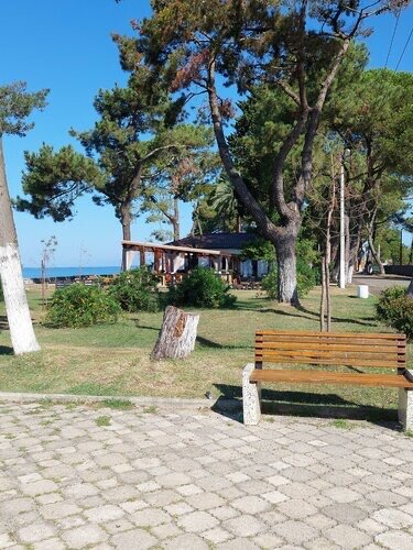 Фото Орхидея