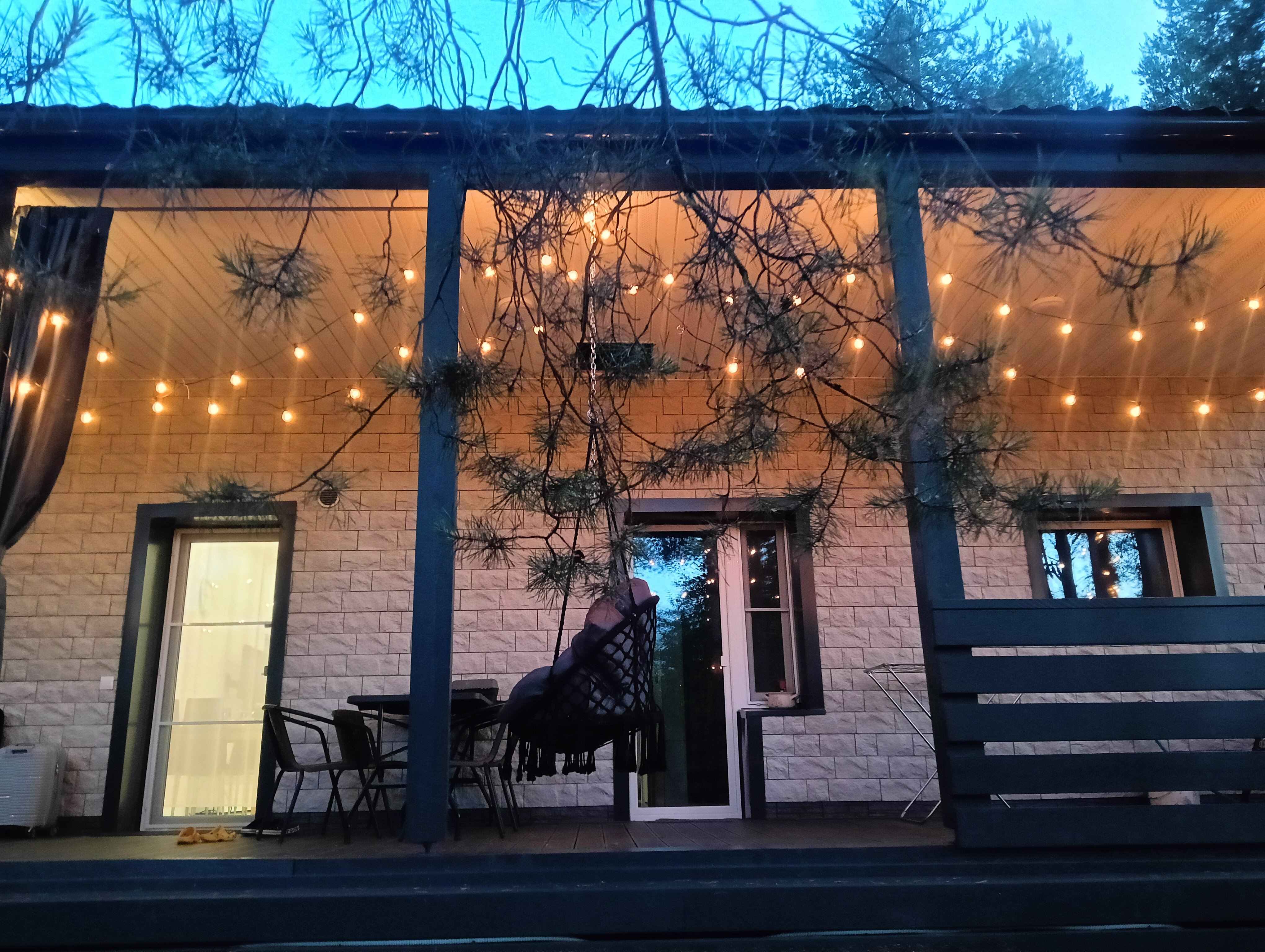 Фото Хвойная Гармония