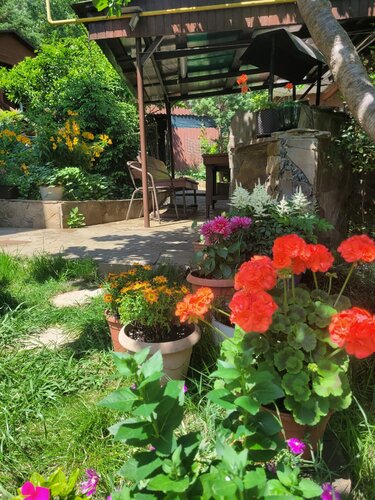 Дом в аренду Домик у моря в Дагомысе