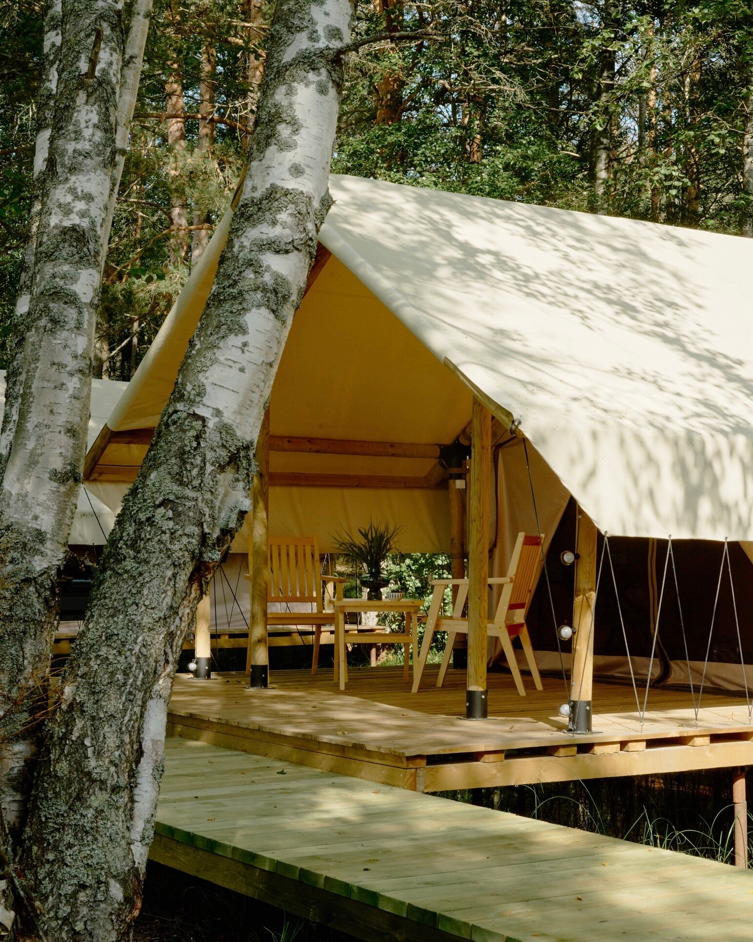 Фото Белые мосты