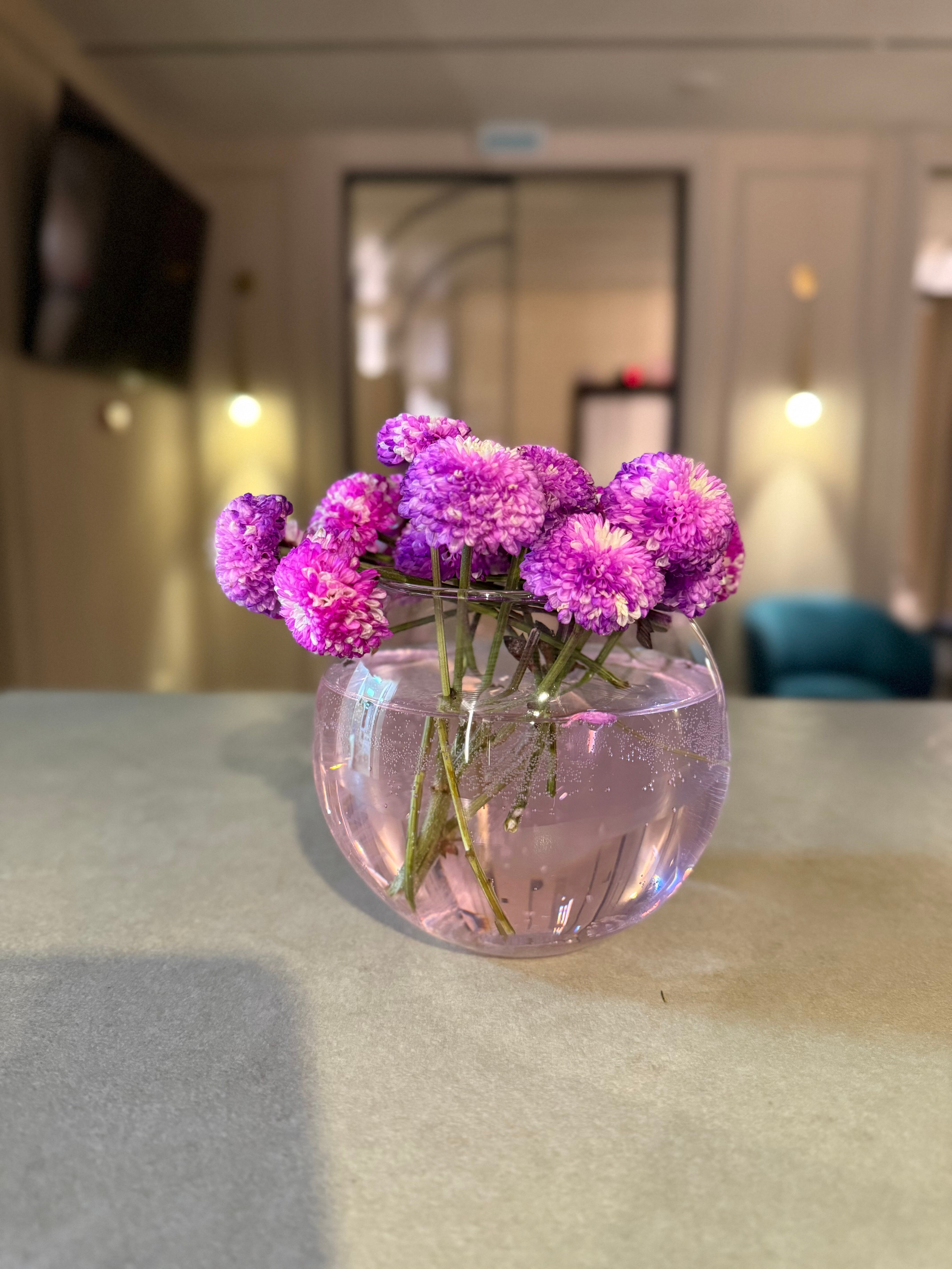 Фото Соболь